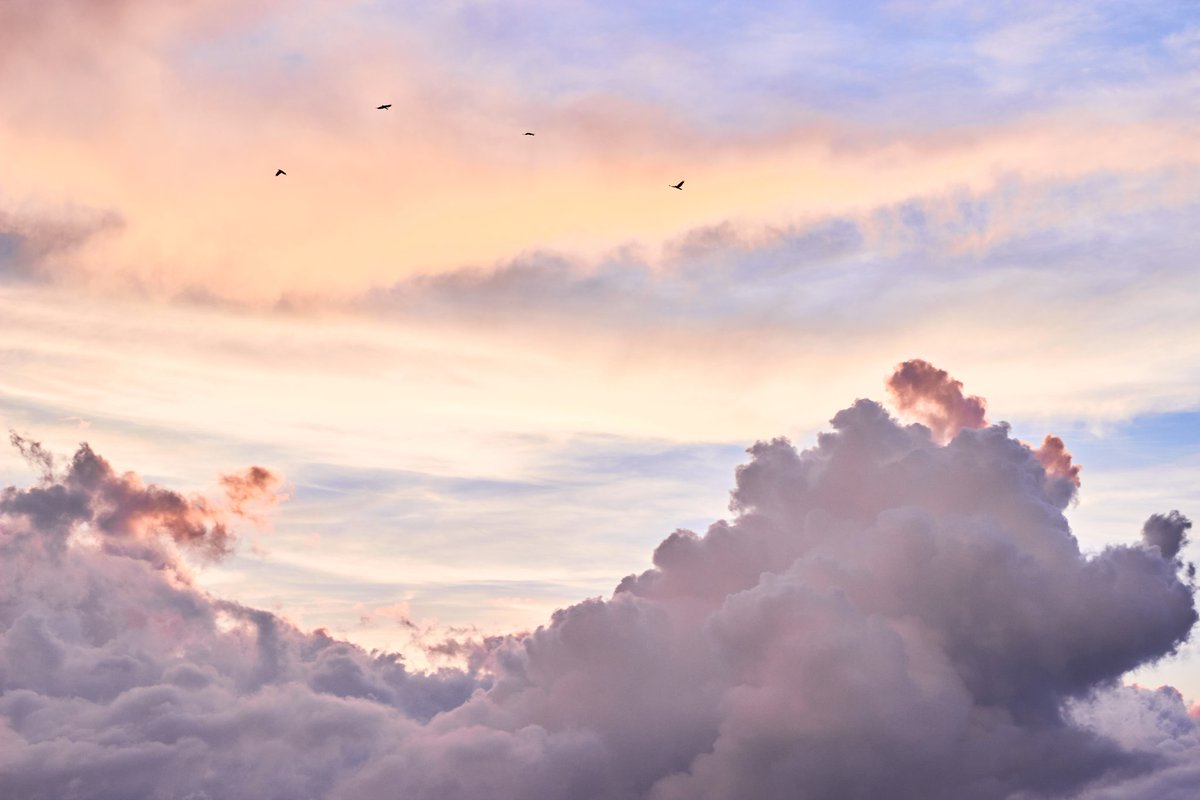 paper_visions's tweet photo. One of the reasons why I have always been so attracted to Baguio is because the sky just looks and feels so different here compared to anywhere else I've been so far, as if I'm so high up that the vast horizon seems almost reachable.
.
#PaperVisions #baguio #dusk #sunset #sky https://t.co/4jBpfNRh4O