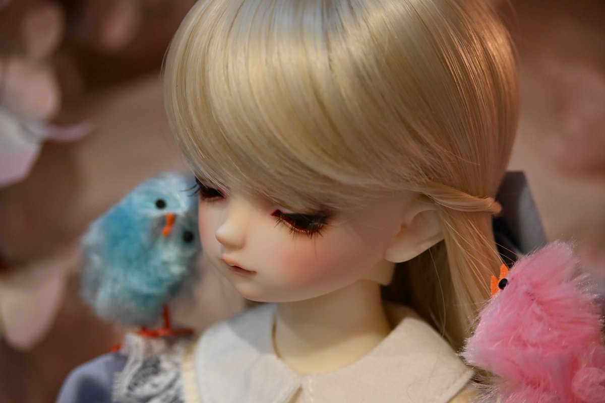 Enaga_7311212's tweet photo. 窓に行ってきました~
ひよこに囲まれる詩音ちゃん*ˊᵕˋ*

一緒に写真を撮ったよ📸
@kaguya_doll 
@_Lepus_Lei_ https://t.co/3eZYVnIVAc