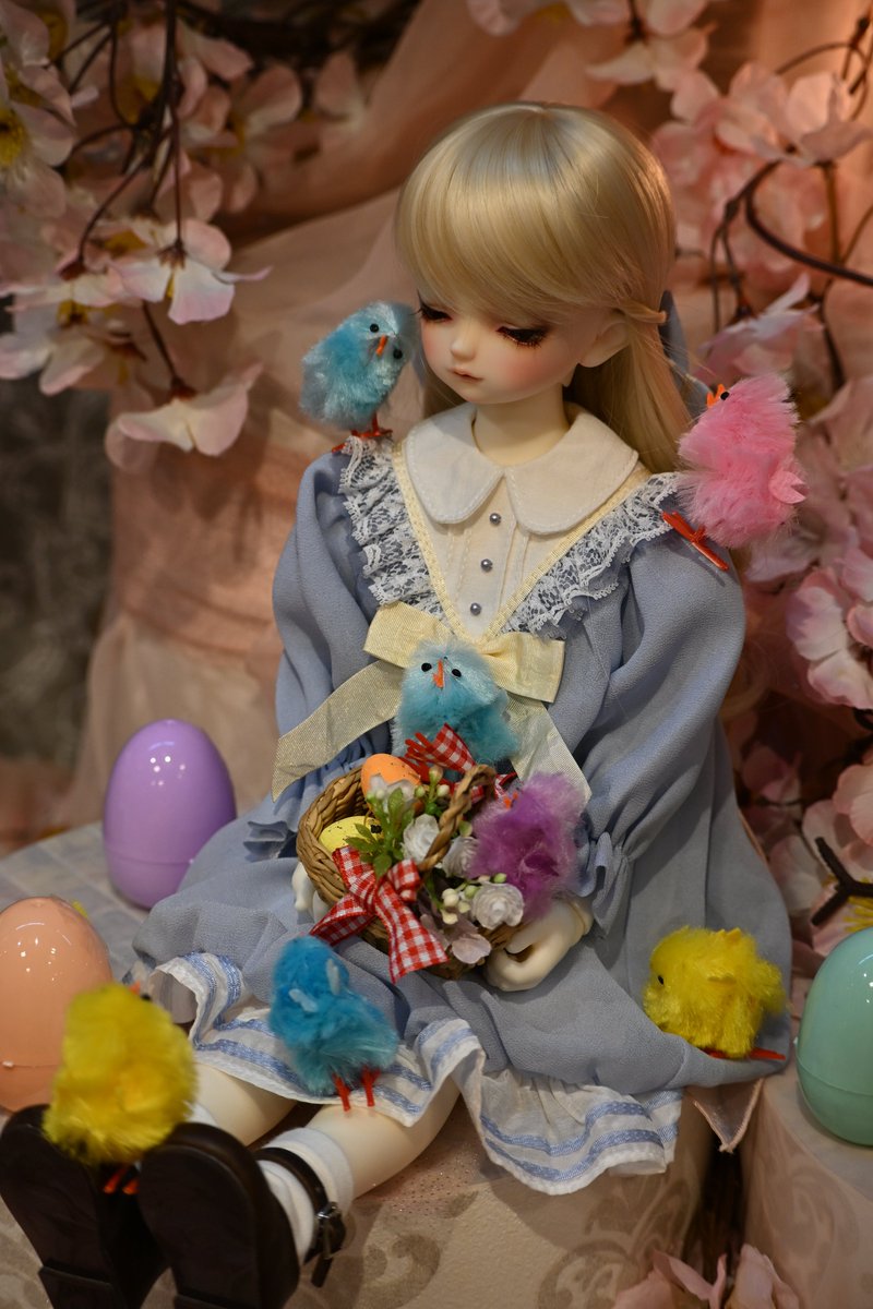 Enaga_7311212's tweet photo. 窓に行ってきました~
ひよこに囲まれる詩音ちゃん*ˊᵕˋ*

一緒に写真を撮ったよ📸
@kaguya_doll 
@_Lepus_Lei_ https://t.co/3eZYVnIVAc