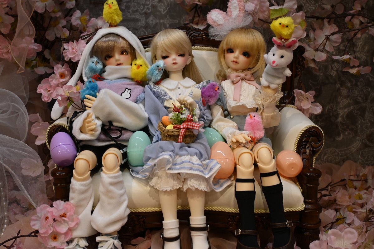 Enaga_7311212's tweet photo. 窓に行ってきました~
ひよこに囲まれる詩音ちゃん*ˊᵕˋ*

一緒に写真を撮ったよ📸
@kaguya_doll 
@_Lepus_Lei_ https://t.co/3eZYVnIVAc