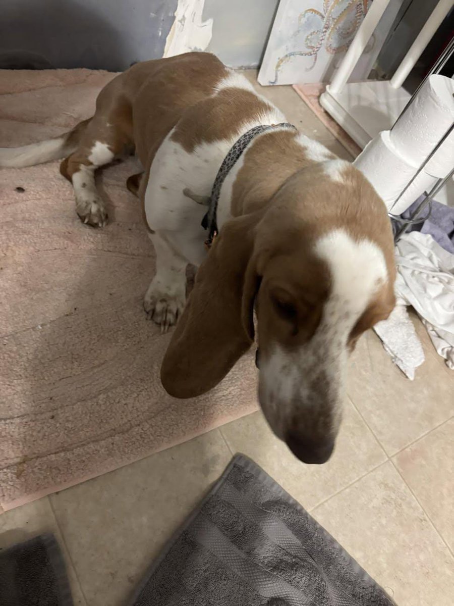 Jessica Rani ❤️ tweet media