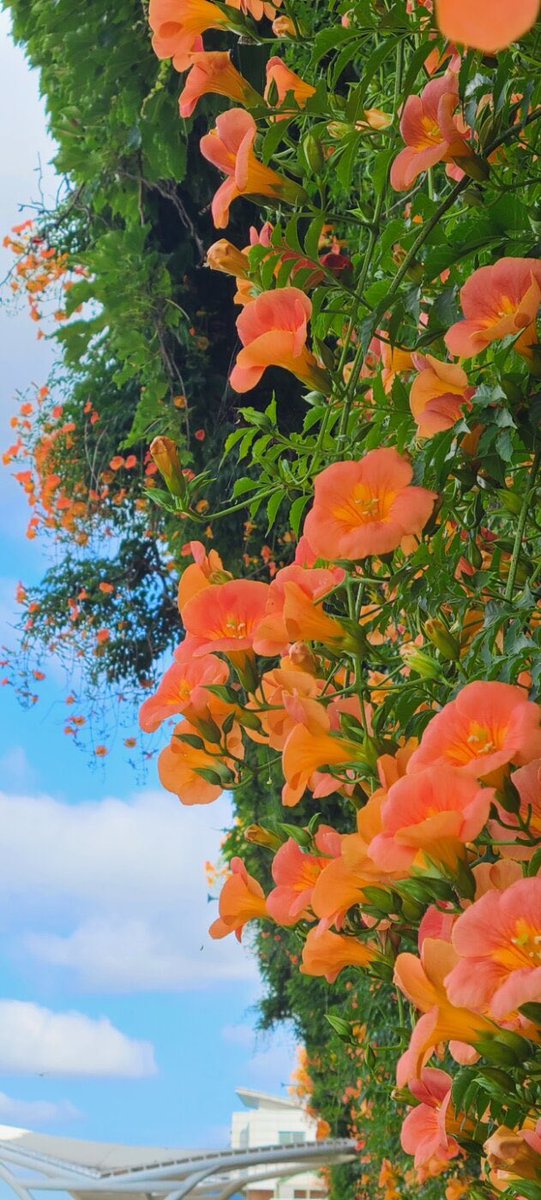 하이딘 tweet media