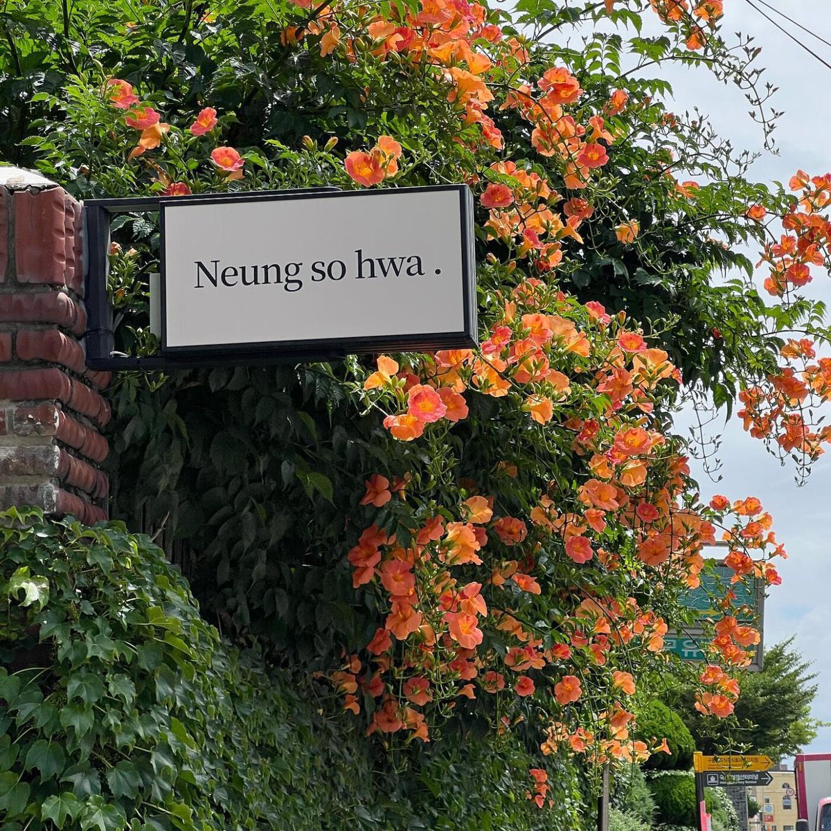 하이딘 tweet media