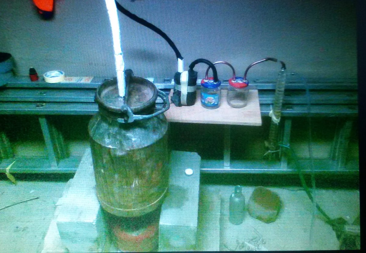 M a r c e l i tweet media