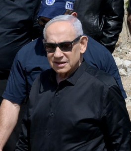 Pam Rotella tweet media