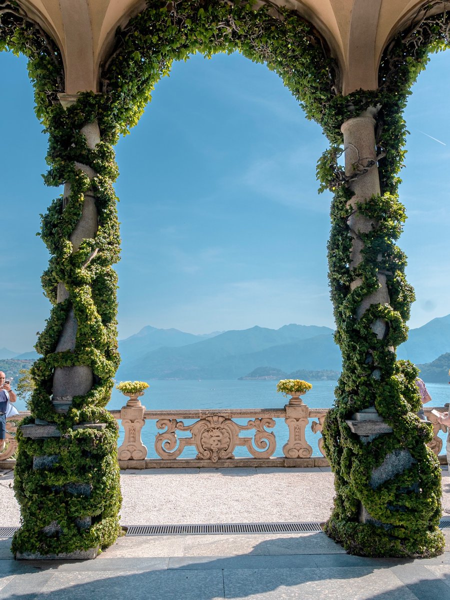 The Nature tweet media