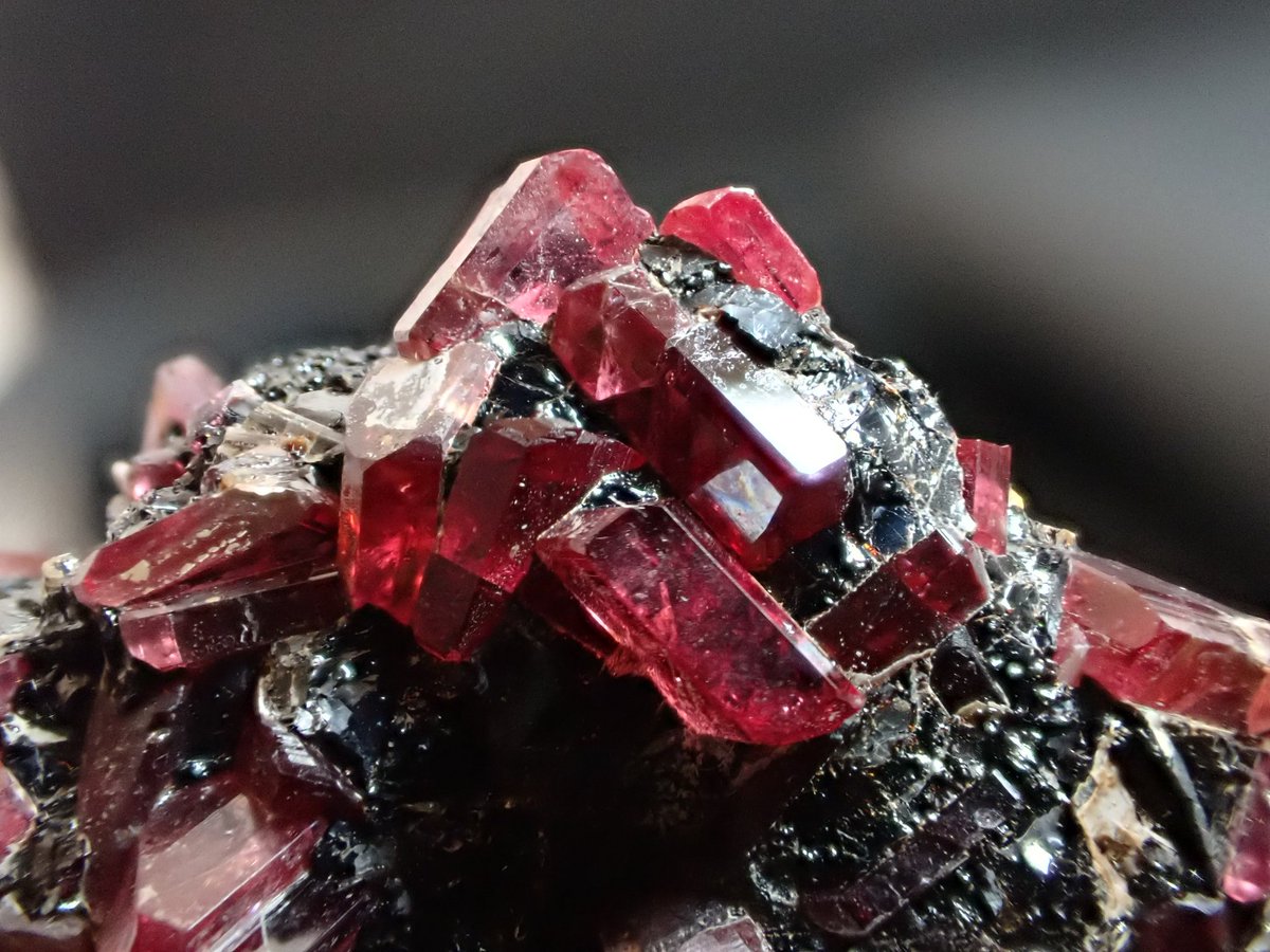 りかたん tweet media