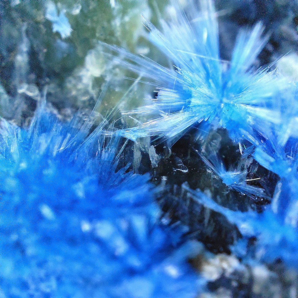 りかたん tweet media