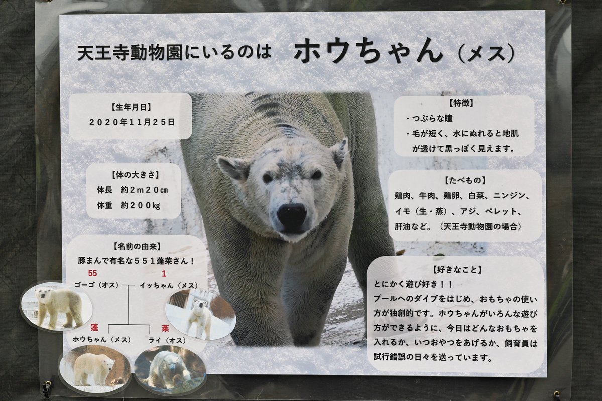 蹴る子♂ tweet media