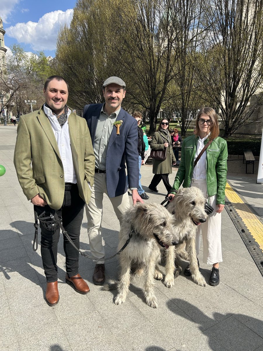 IrlAmbHungary's tweet image. Delighted to meet d'Artagnan &amp;amp; Portos, two great Irish wolfhounds who, alongside grey coats, share with me a Swedish heritage. Looking forward to parading alongside the musketeers later as we celebrate #StPatricksDay in Budapest.