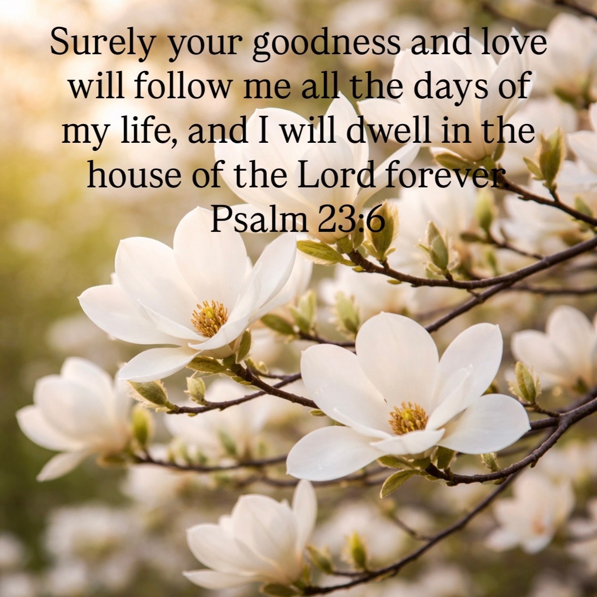 Michael Guest tweet media