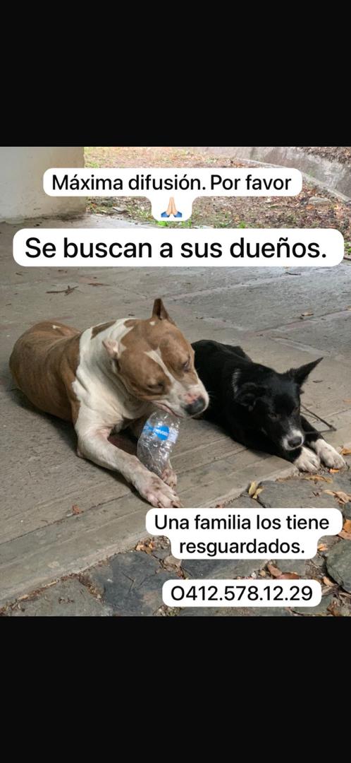 GRACE🇻🇪🆓 tweet media