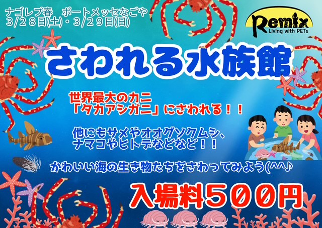 マリン@リミックスインター店 tweet media