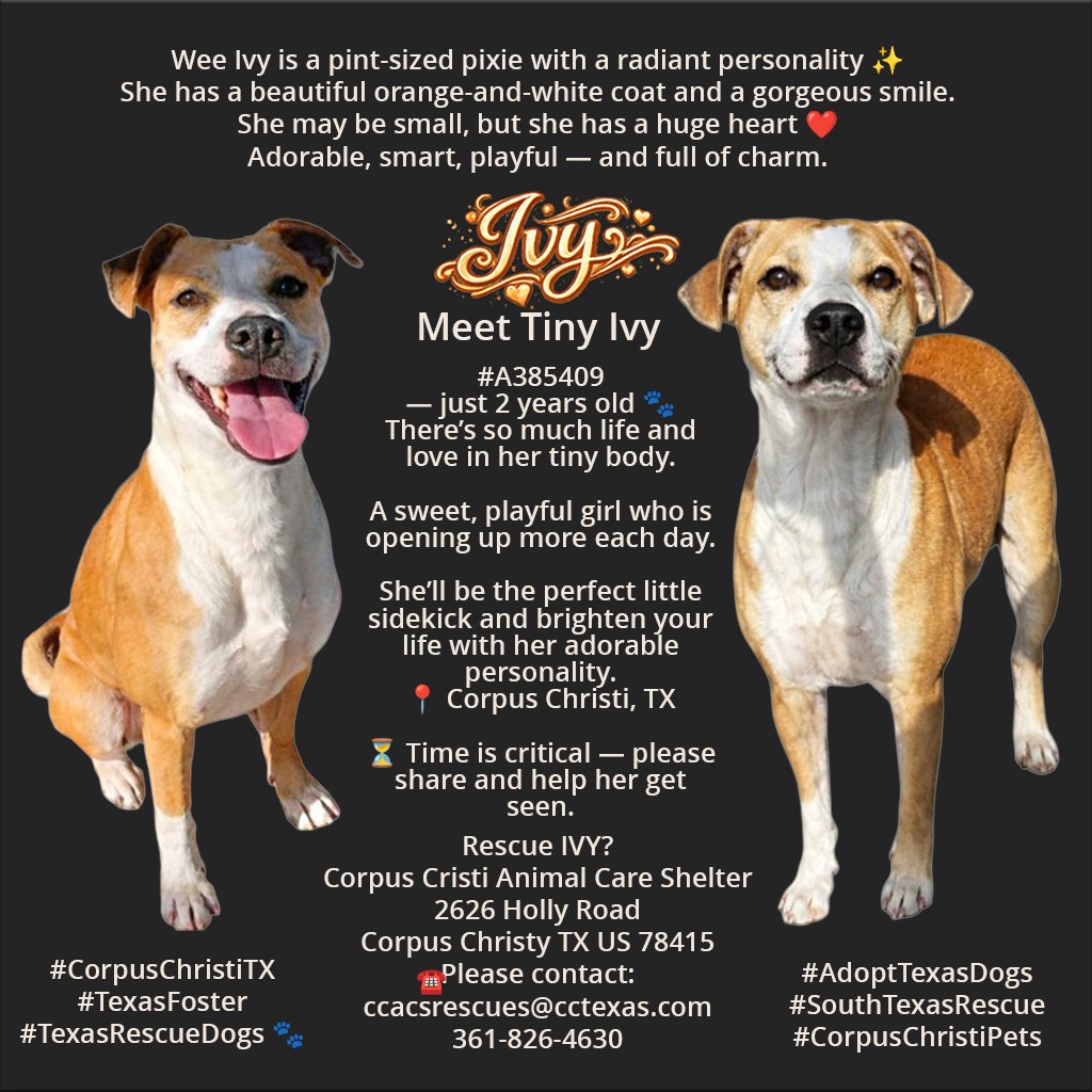 MSC1111 🇳🇱 tweet media