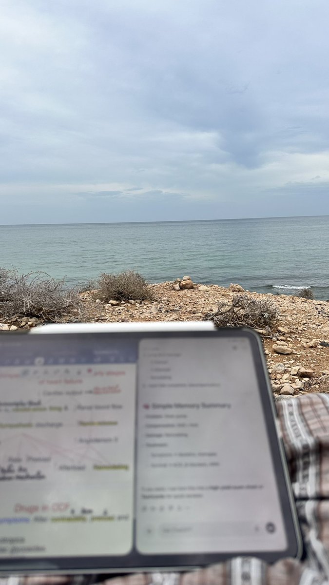 loai🇴🇲 tweet media