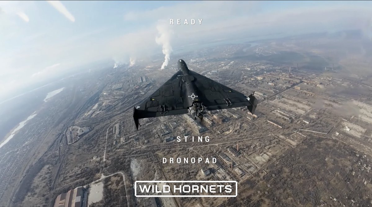 Wild Hornets tweet media