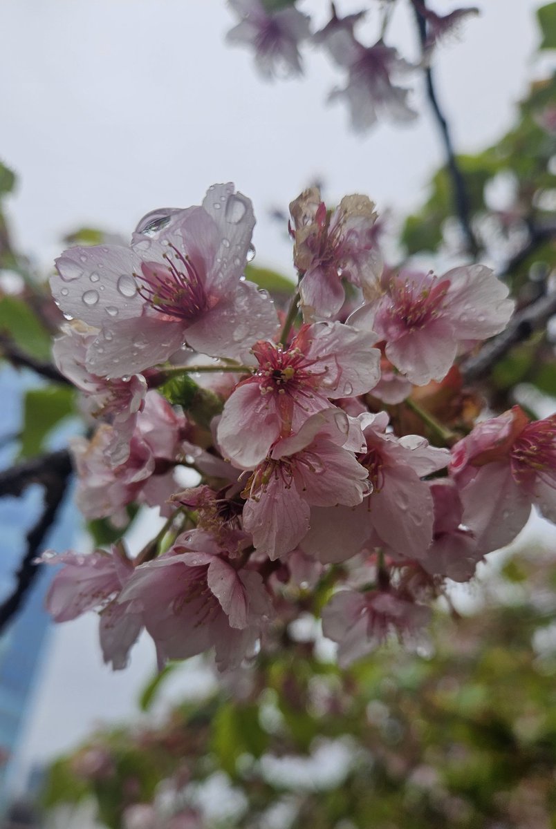 りえぞう tweet media