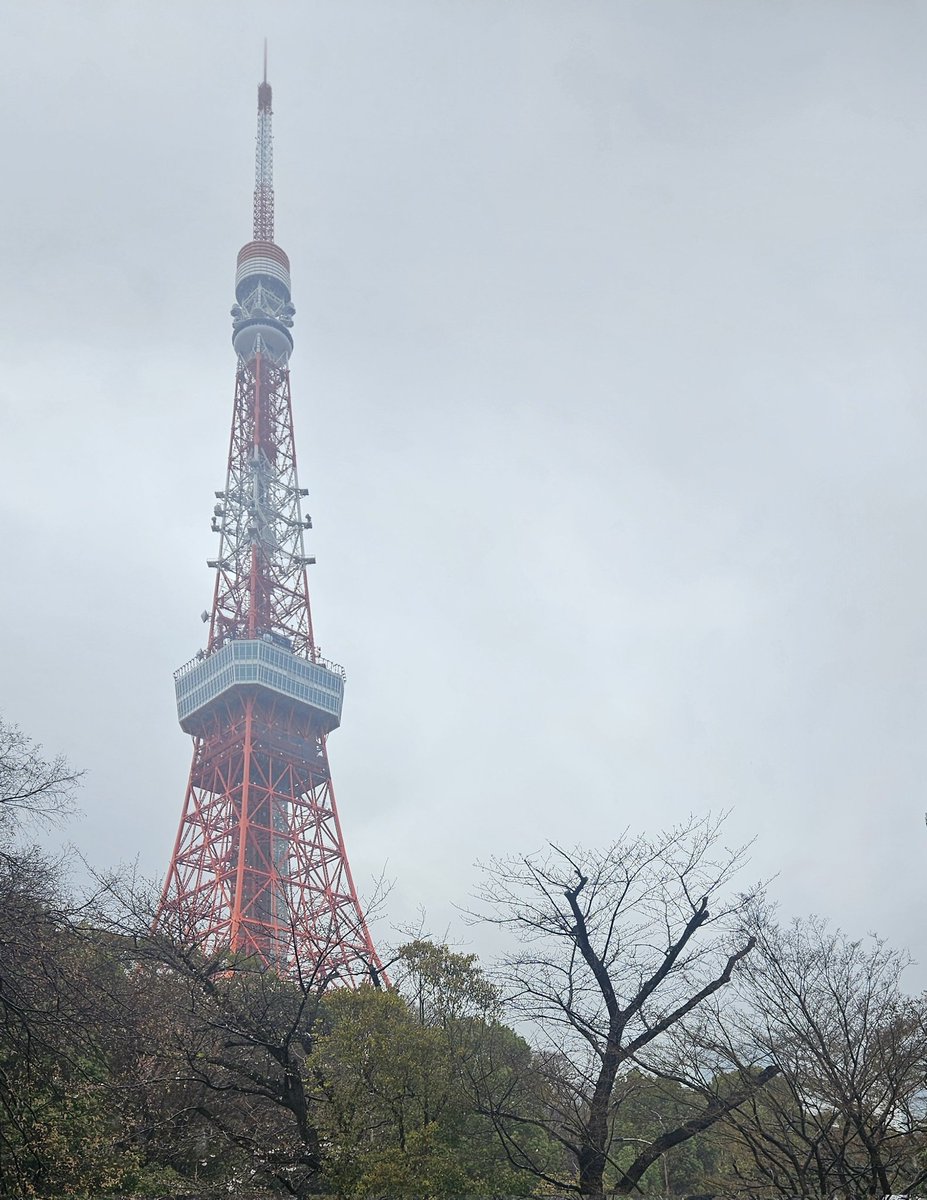 りえぞう tweet media