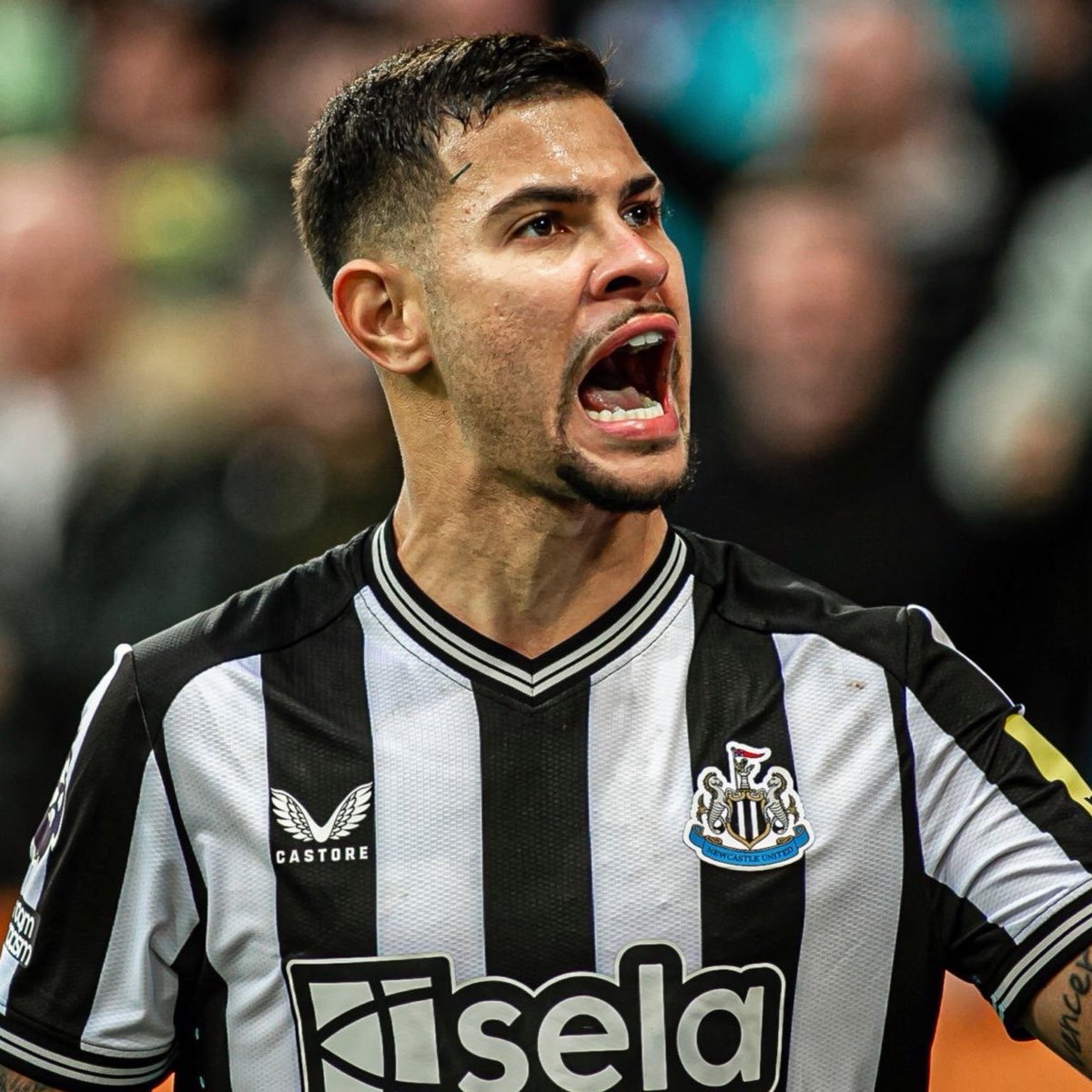 United Update tweet media