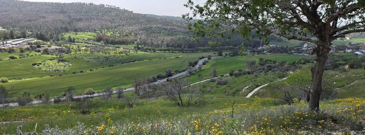 יש לנו ארץ יפה