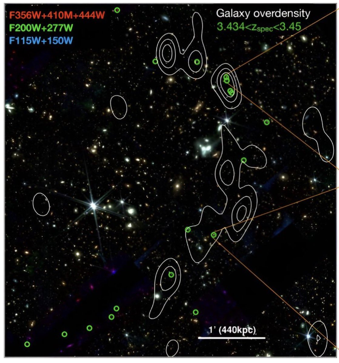 Chris 🌹🇵🇸 🇺🇦💉😷 tweet media