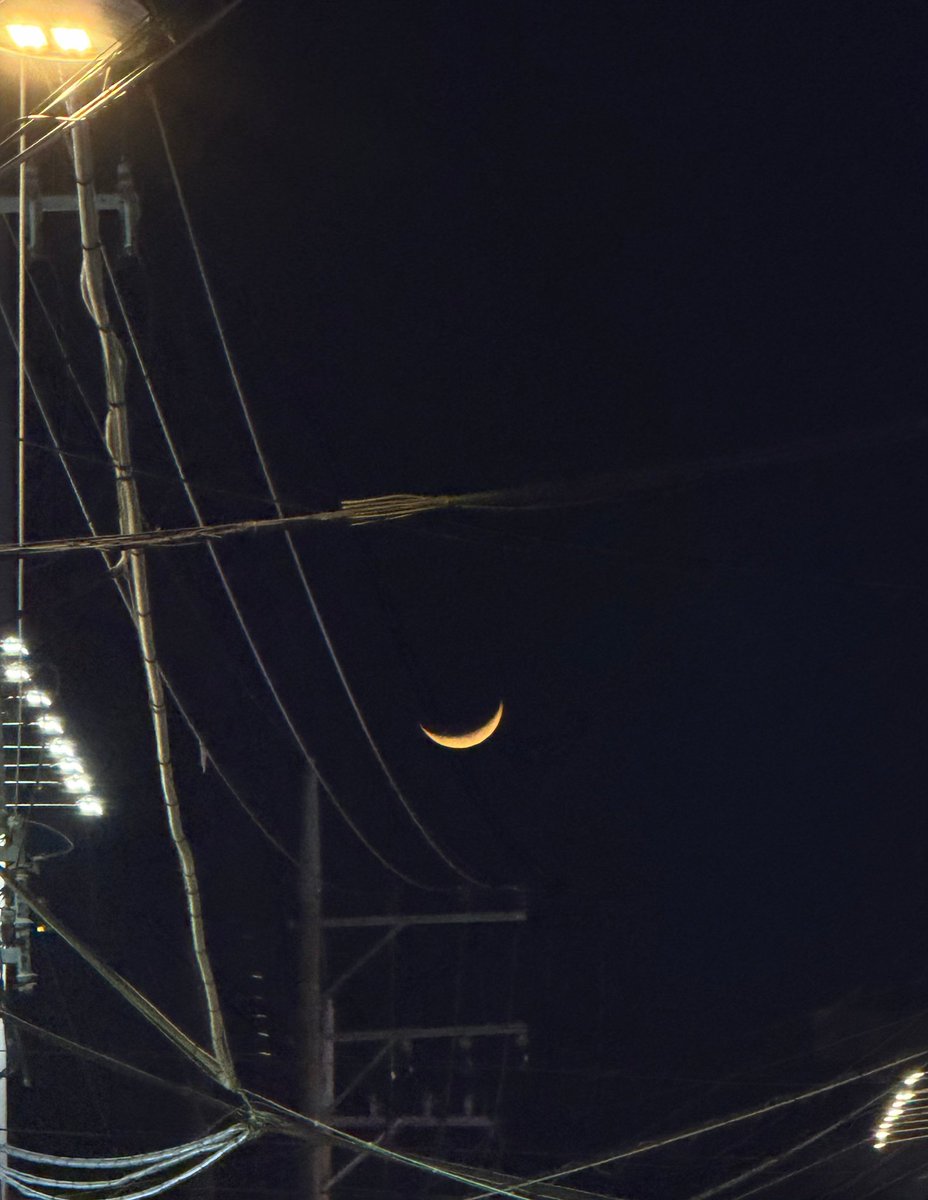 ham 💬 tweet media