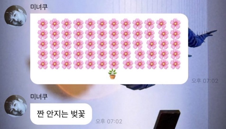 채링🍅 tweet media