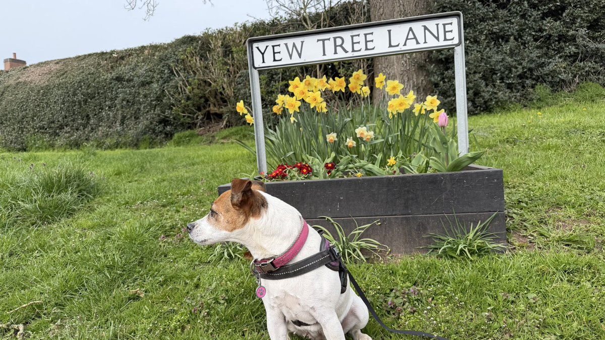 Mister Milo tweet media