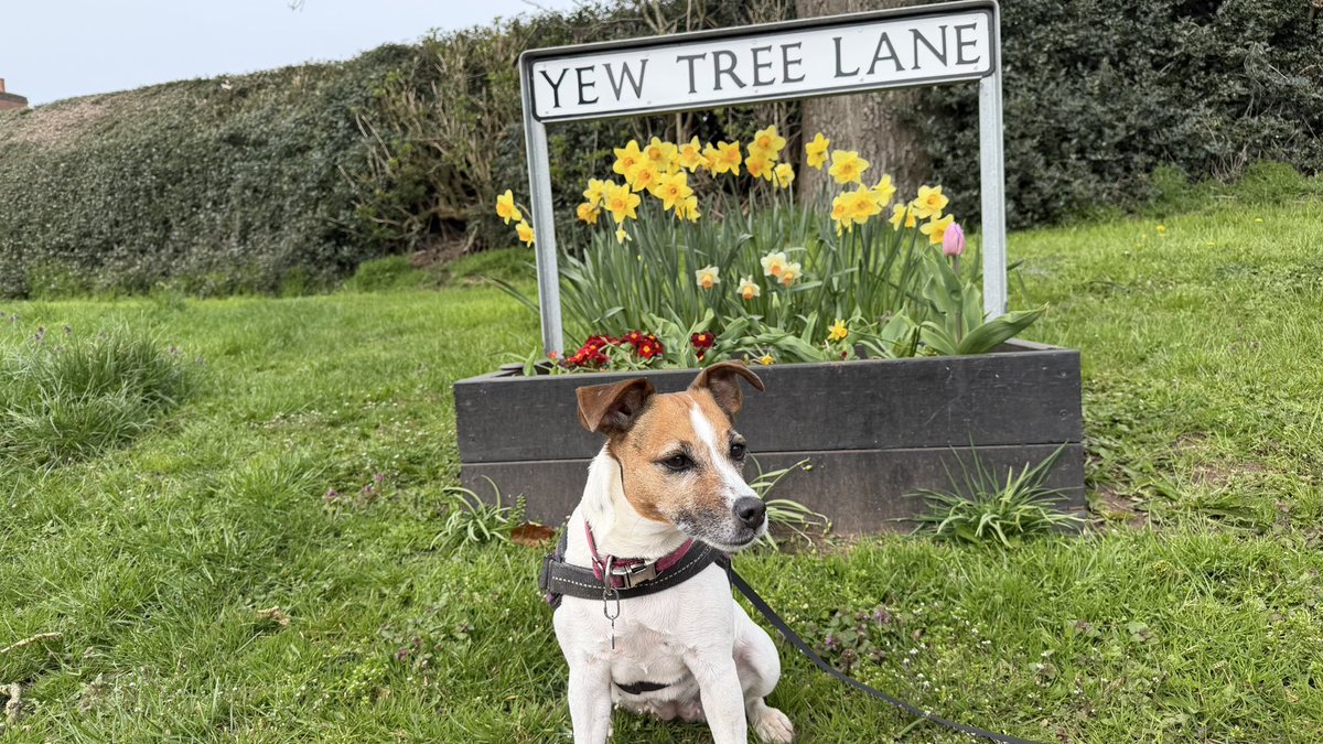 Mister Milo tweet media