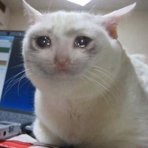 くるくるプリンセス tweet media