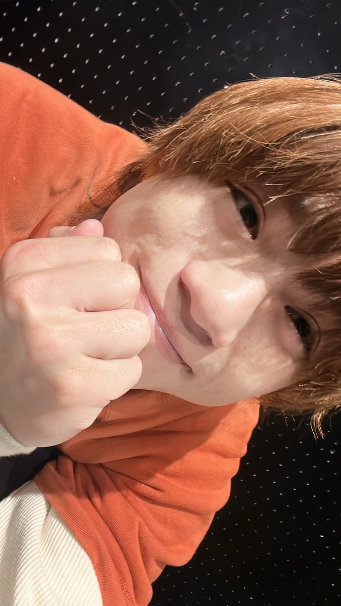 とうふくん/最強歌い手 tweet media