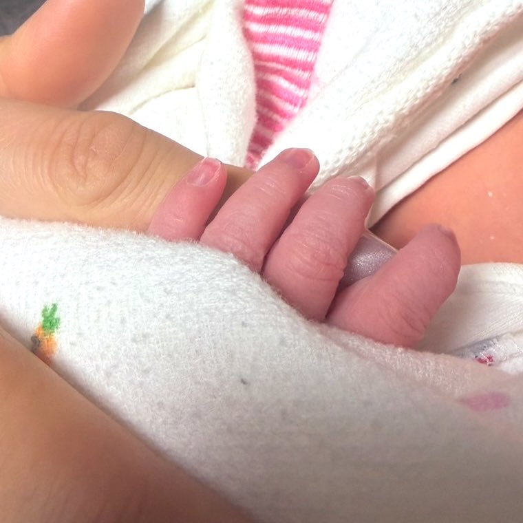 🫧雪花🫧推しと動物とetc tweet media