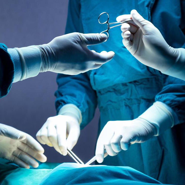 Neural Space tweet media