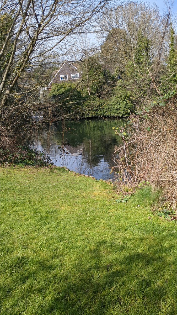 Tripe_Writer tweet media