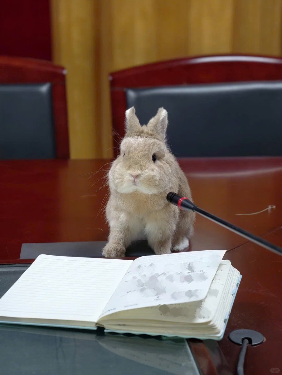 ˚⋆𐙚.RUBY𖦹.ᡣ𐭩˚ ₍ᐢ. ̫.ᐢ₎Vtuber ₍ᐢ. ̫.ᐢ₎ DebutSoon tweet media