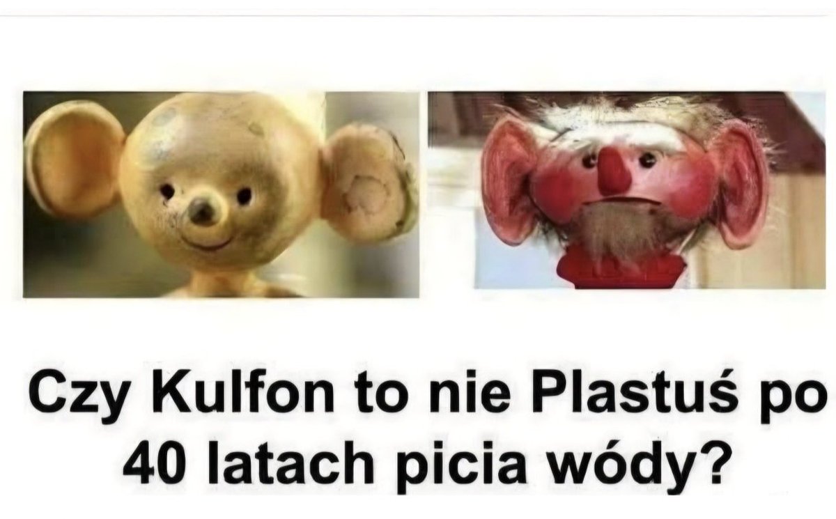 Katarynka tweet media