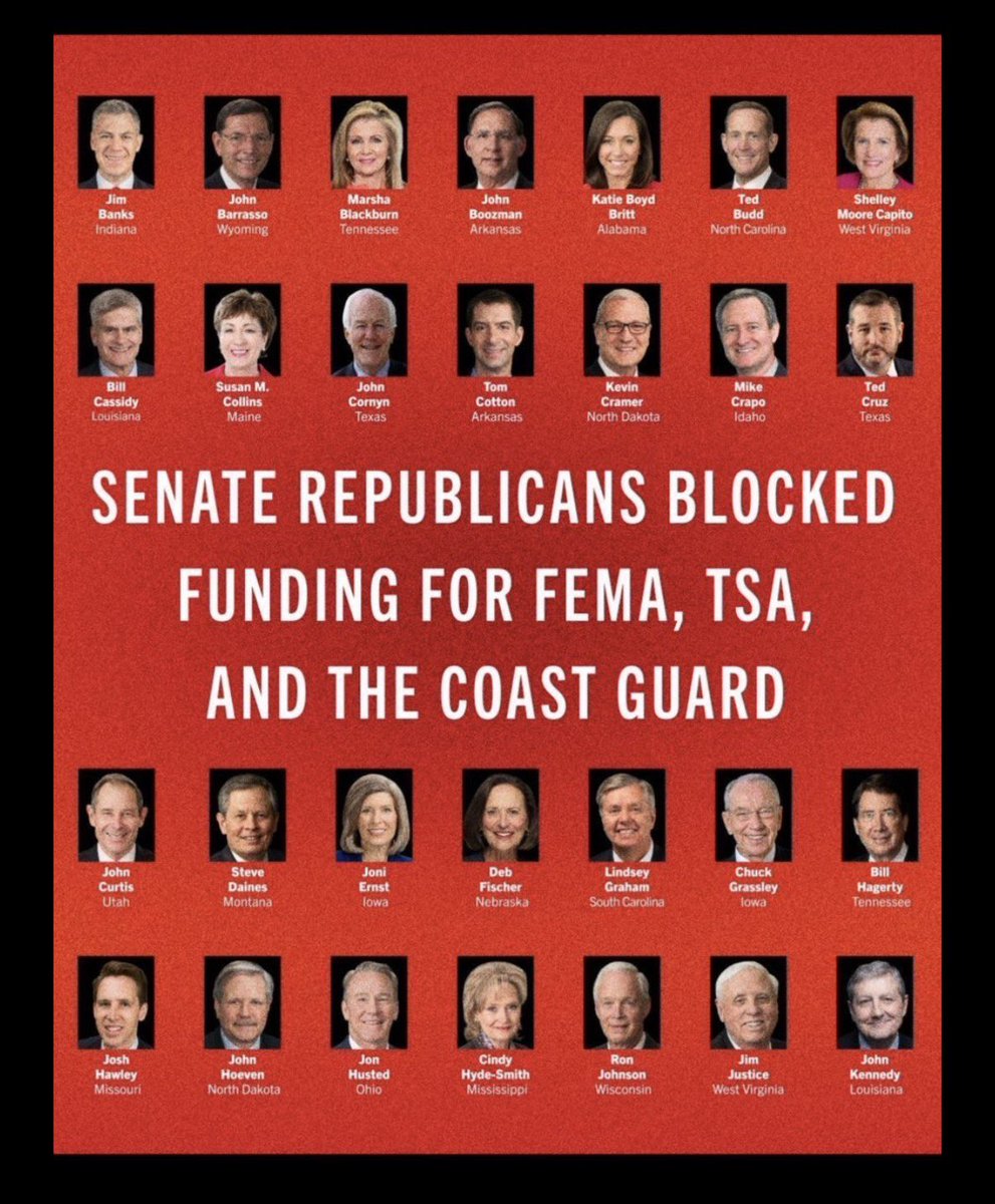 Matt (Taylor’s Version) tweet media