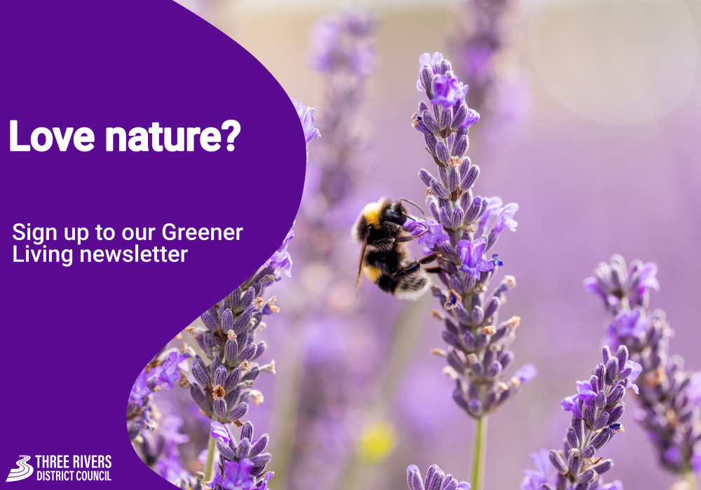 ThreeRiversDC's tweet image. Love nature? 🌼🌳 

Get involved and stay in the loop with local stories, community projects, and tips to protect the environment right on your doorstep.

Subscribe to our Greener Living newsletter! 👉orlo.uk/TOMIt

#ThreeRivers #SignUp #Newsletter #GreenerLiving