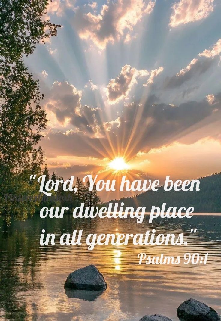 Catherine ♡ =^..^= tweet media