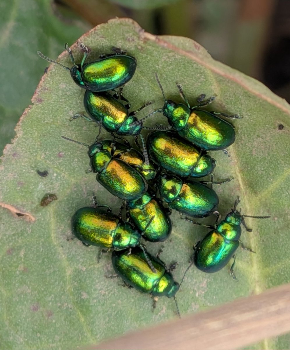 Brian Hedley tweet media