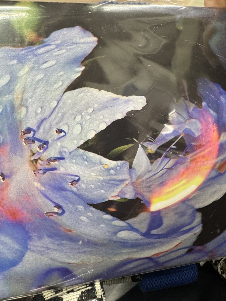 じゅんや🍣🐳🚭😸Schattered tweet media