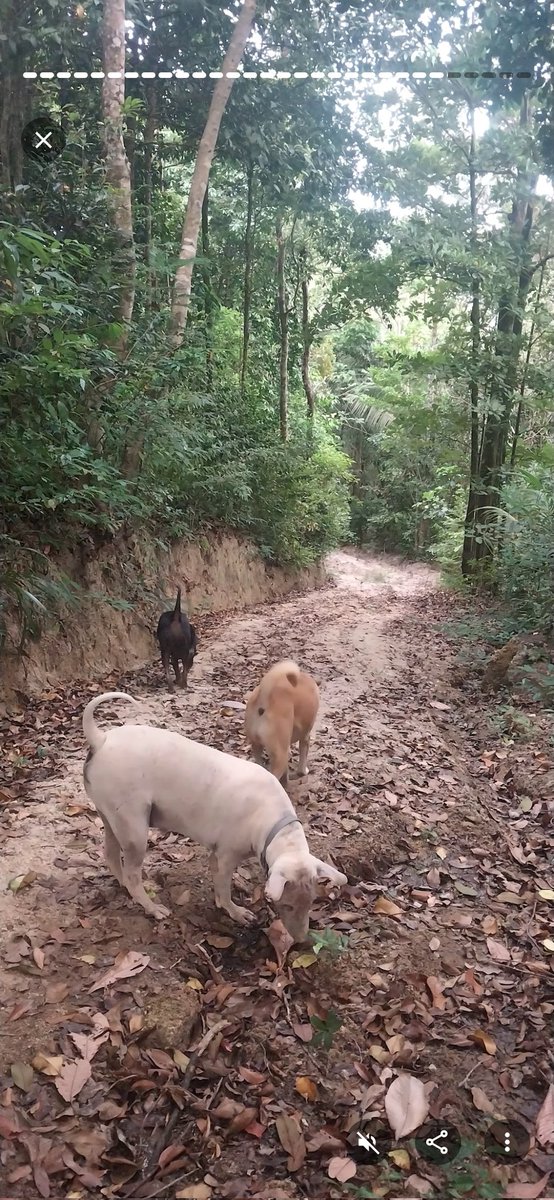 Rebecca รีเบคก้า tweet media