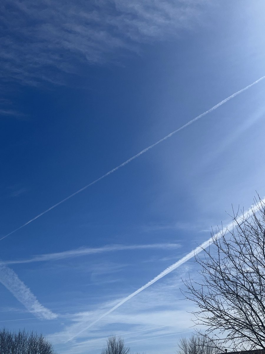 DirtyJoe Minnesota tweet media