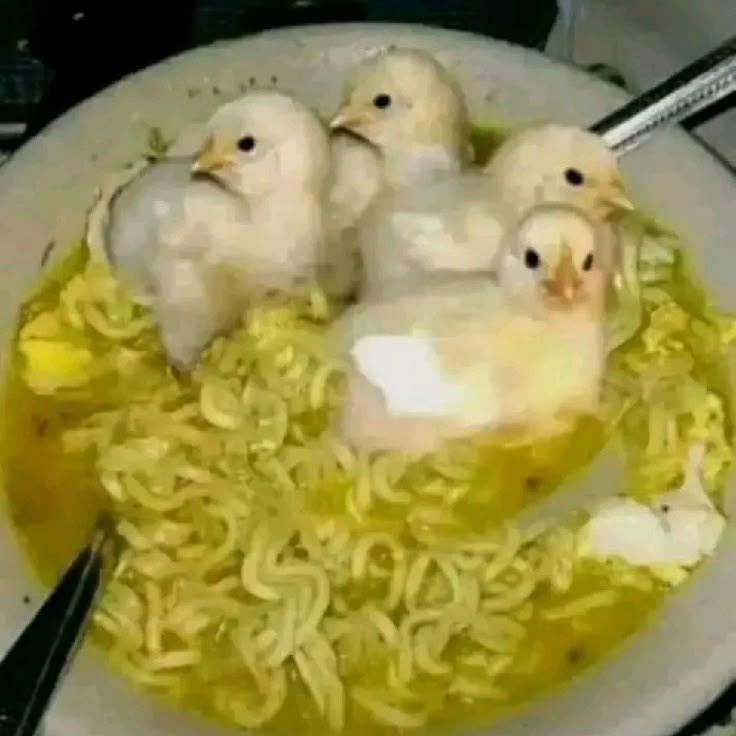 ๐ฒ๐๐๐๐๐๐ข๐๐ tweet media