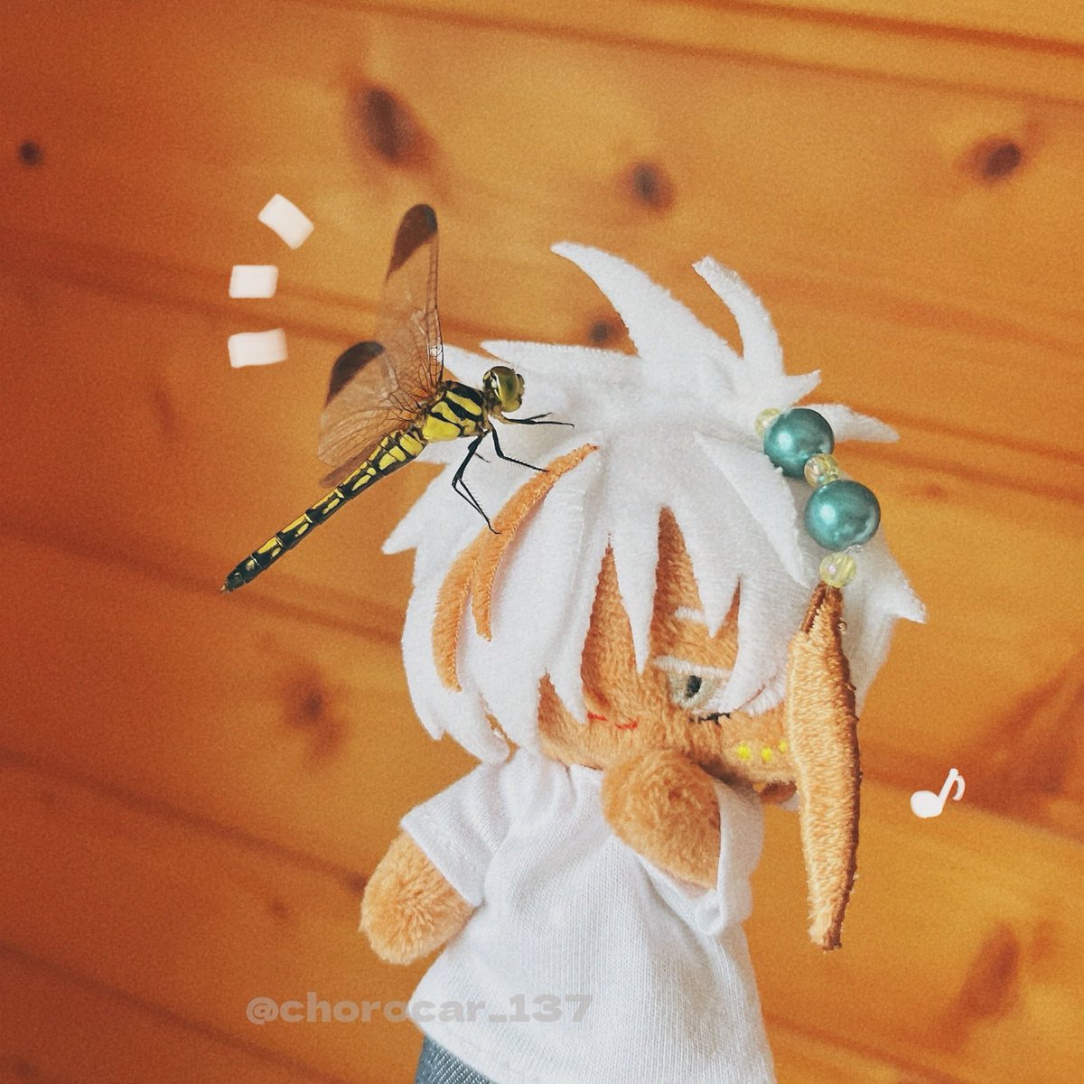 ちょろカー tweet media