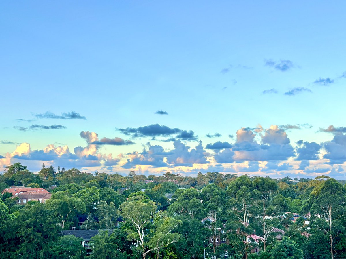 Kaz Ota | かずおた in シドニー🇦🇺 tweet media