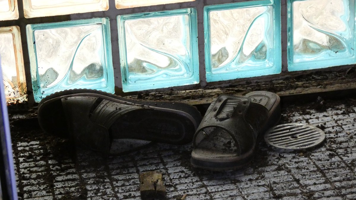 かえで tweet media