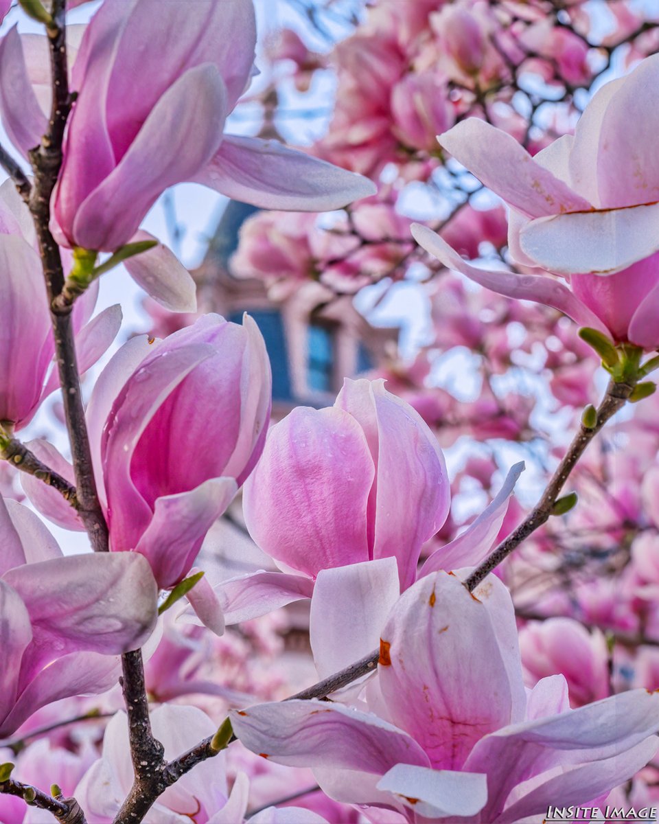 Dave Lyons tweet media