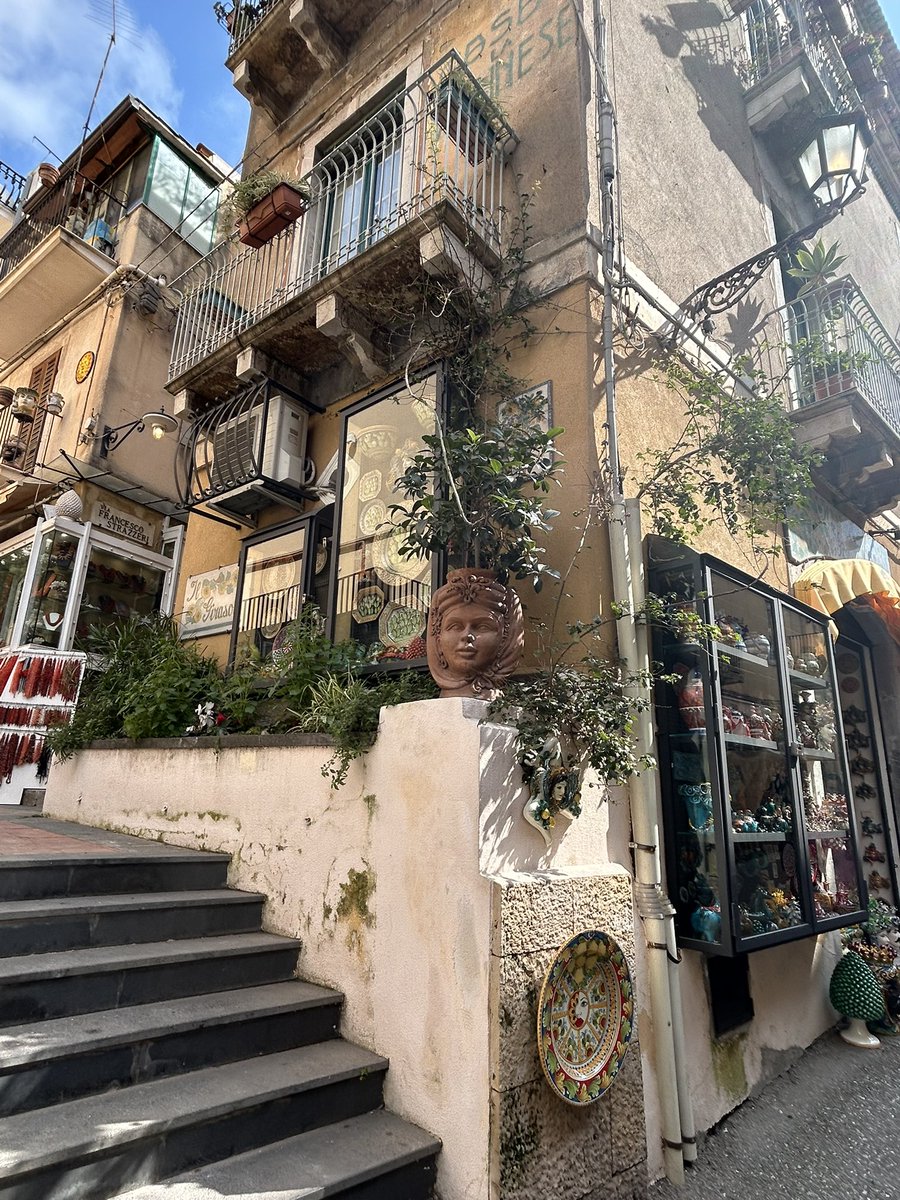 Teodorescu Marieta tweet media