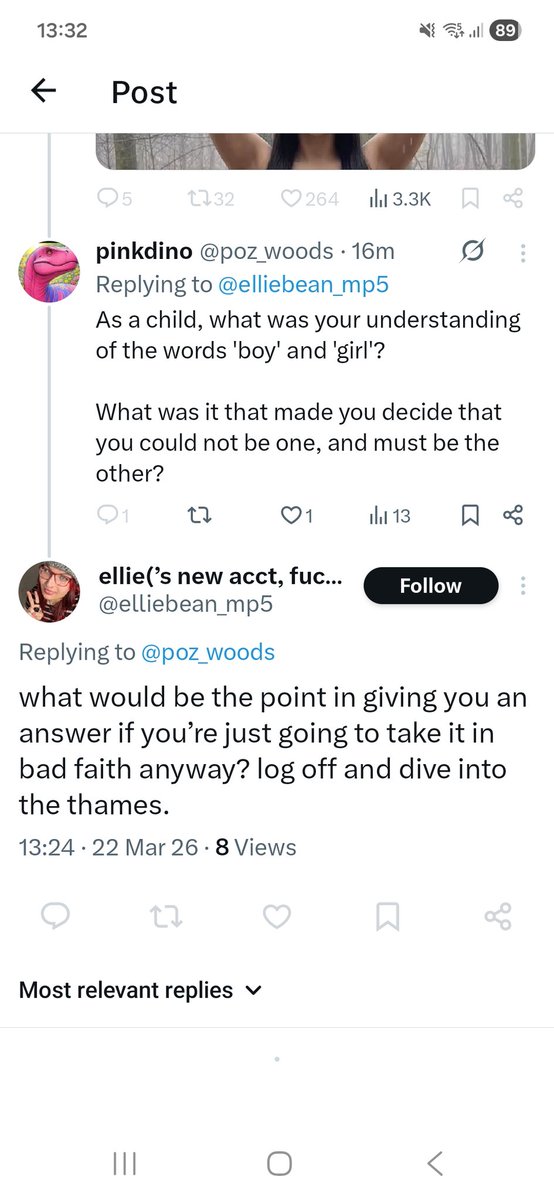 pinkdino tweet media